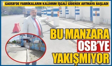 BU MANZARA OSB’YE YAKIŞMIYOR