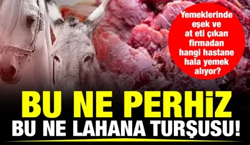 Bu ne perhiz bu ne lahana turşusu!