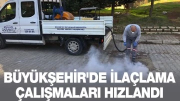 BÜYÜKŞEHİR'DE İLAÇLAMA ÇALIŞMALARI HIZLANDI