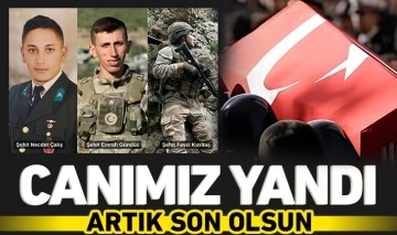 Canımız yandı artık son olsun