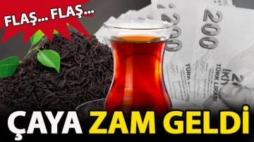 ÇAYA ZAM GELDİ