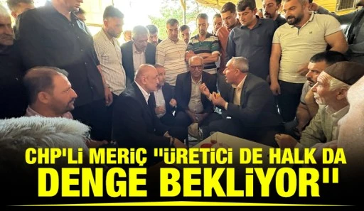 CHP’li Meriç &quot;Üretici de Halk da Denge Bekliyor&quot;
