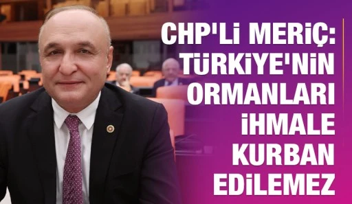 CHP&rsquo;li Meri&ccedil;: T&uuml;rkiye&rsquo;nin ormanları ihmale kurban edilemez