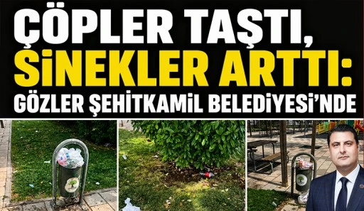 &Ccedil;&ouml;pler Taştı, Sinekler Arttı: G&ouml;zler Şehitkamil Belediyesi'nde
