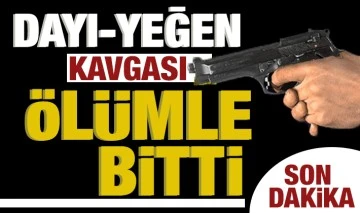 Dayı-yeğen kavgası ölümle bitti