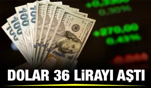 Dolar 36 lirayı aştı