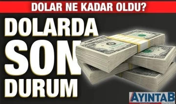 Dolar ve Euro ne kadar oldu? İşte son durum...