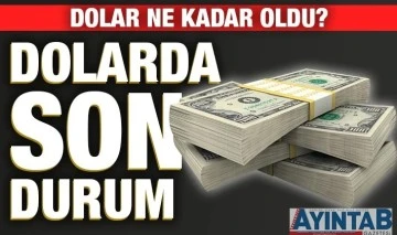 Dolar ve Euro yine zirvede