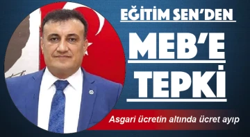 Eğitim Sen'den MEB'e tepki: Asgari ücretin altında ücret ayıp