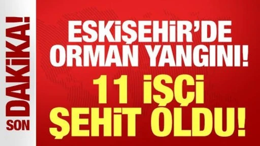Eskişehir'deki yangında 11 orman iş&ccedil;isi şehit oldu