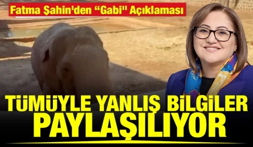 Fatma Şahin&rsquo;den &ldquo;Gabi&rdquo; A&ccedil;ıklaması: &ldquo;T&uuml;m&uuml;yle Yanlış Bilgiler Paylaşılıyor&rdquo;