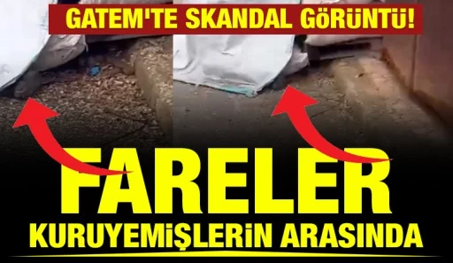 GATEM&rsquo;te Skandal G&ouml;r&uuml;nt&uuml;! Fareler Kuruyemişlerin Arasında