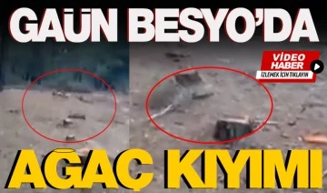 GAÜN BESYO’da ağaç kıyımı