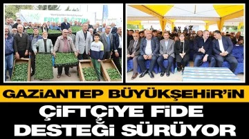 GAZİANTEP BÜYÜKŞEHİR’İN ÇİFTÇİYE FİDE DESTEĞİ SÜRÜYOR