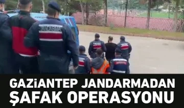 Gaziantep jandarmadan şafak operasyonu 