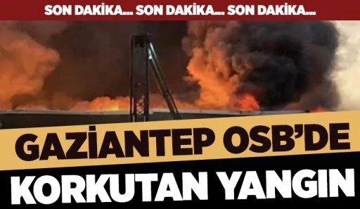 Gaziantep OSB’de korkutan yangın