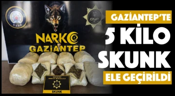 Gaziantep’te 5 kilo skunk ele geçirildi