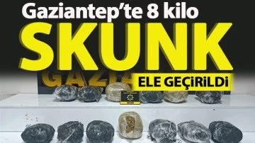 Gaziantep’te 8 kilo skunk ele geçirildi