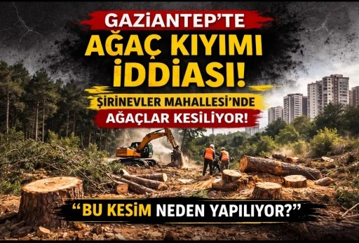 Gaziantep&rsquo;te Ağa&ccedil; Kıyımı İddiası! Kim Neden Kesiyor?