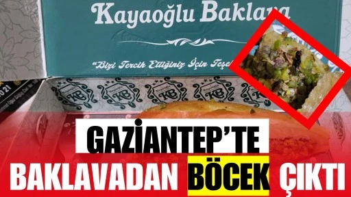 Gaziantep&rsquo;te baklavadan b&ouml;cek &ccedil;ıktığı iddiası sosyal medyada g&uuml;ndem oldu