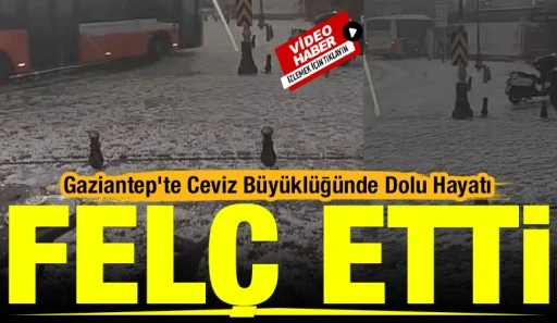 Gaziantep&rsquo;te Ceviz B&uuml;y&uuml;kl&uuml;ğ&uuml;nde Dolu Hayatı Fel&ccedil; Etti