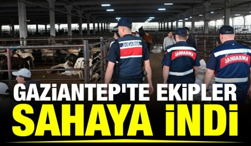 Gaziantep&rsquo;te ekipler sahaya indi