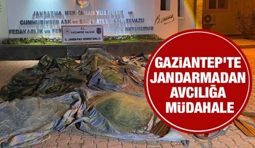 Gaziantep'te jandarmadan avcılığa müdahale