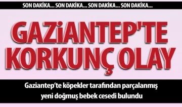 Gaziantep'te korkunç olay 