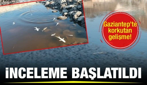Gaziantep'te korkutan gelişme! İnceleme başlatıldı