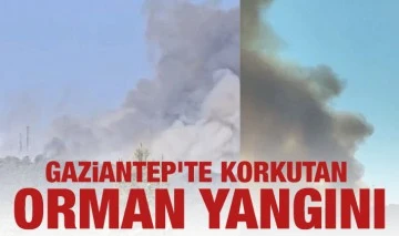 Gaziantep'te korkutan orman yangını