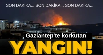 Gaziantep’te korkutan yangın!