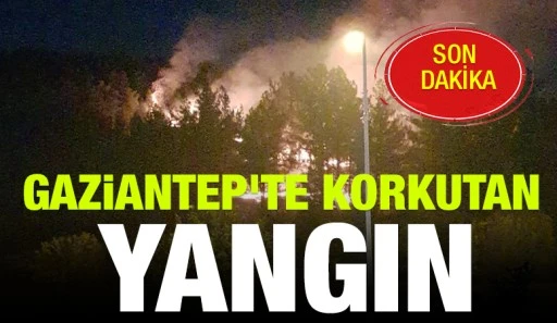 Gaziantep'te korkutan yangın