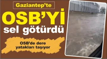 Gaziantep'te OSB'yi sel götürdü
