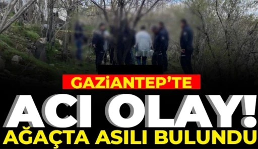 Gaziantep’te Parkta Feci Olay: 24 Yaşındaki Genç Ağaca Asılı Halde Bulundu