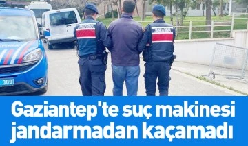 Gaziantep'te suç makinesi jandarmadan kaçamadı