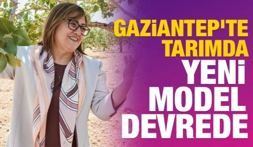 Gaziantep&rsquo;te tarımda yeni model devrede