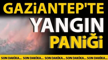 Gaziantep'te yangın paniği
