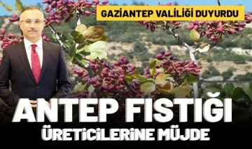 Gaziantep Valiliği duyurdu: Antep Fıstığı üreticilerine müjde