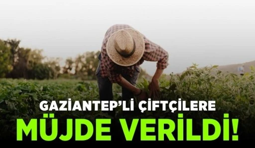 Gaziantepli Çiftçilere Müjde Verildi!