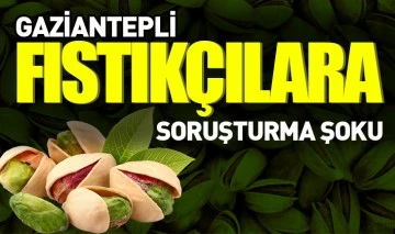 Gaziantepli Fıstıkçılara Soruşturma şoku