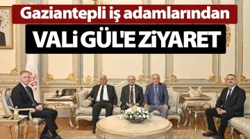 Gaziantepli iş adamlarından Vali Gül'e ziyaret 