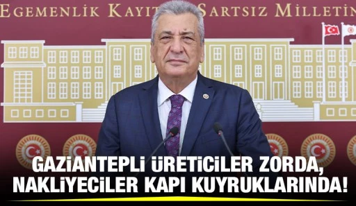 Gaziantepli üreticiler zorda, nakliyeciler kapı kuyruklarında!