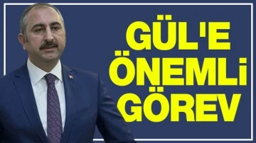 GÜL'E ÖNEMLİ GÖREV