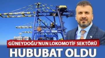 Güneydoğu’nun lokomotif sektörü hububat oldu