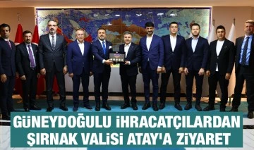 Güneydoğulu ihracatçılardan Şırnak Valisi Atay'a ziyaret