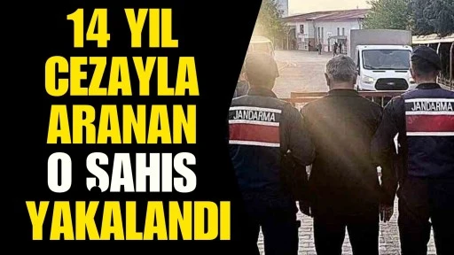 Hırsızlık su&ccedil;undan kesinleşmiş 14 yıl cezayla aranan şahıs yakalandı