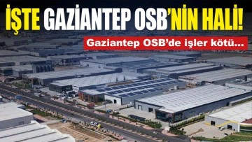 İŞTE GAZİANTEP OSB'NİN HALİ!