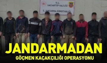 Jandarmadan göçmen kaçakçılığı operasyonu  