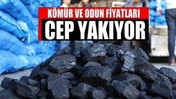 Kömür fiyatları cep yakıyor!