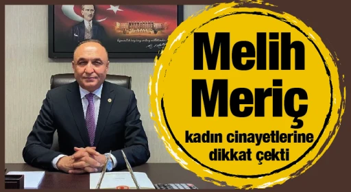Melih Meriç kadın cinayetlerine dikkat çekti